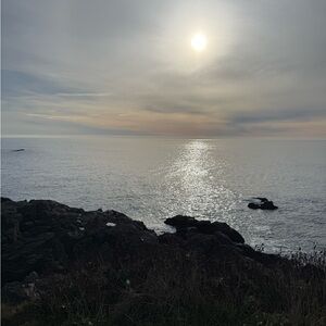 Meet your Posher, Whitney